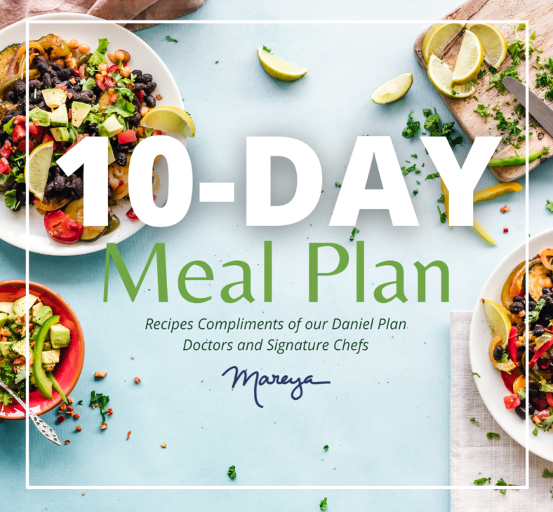 10 Day Meal Plan